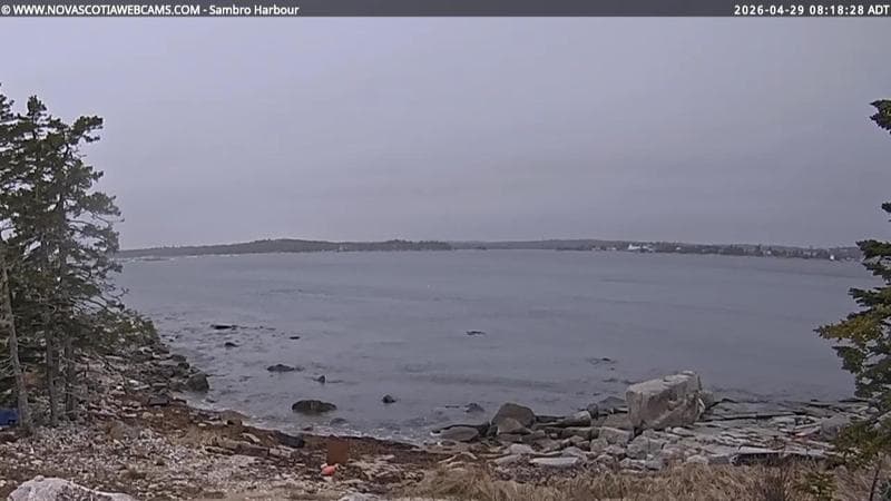 Sambro Harbour