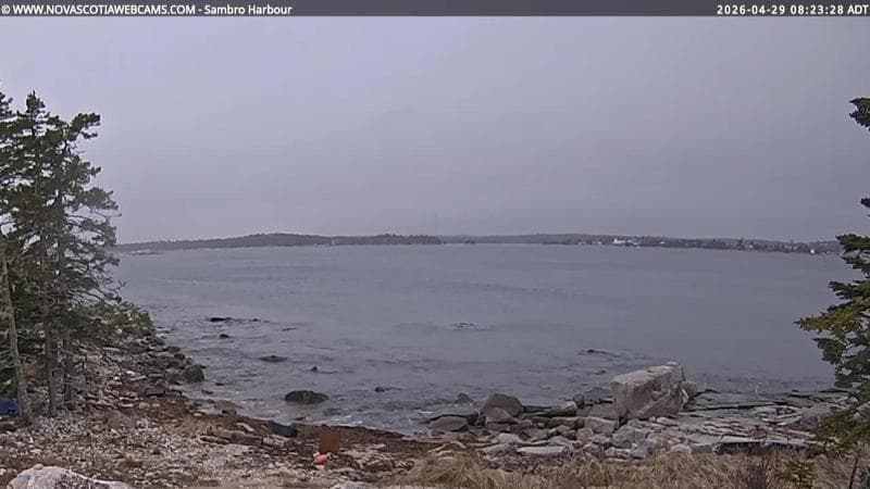 Sambro Harbour