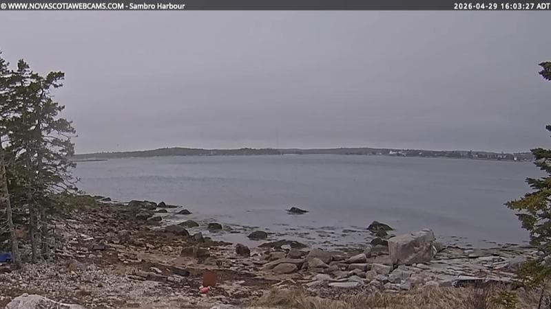 Sambro Harbour