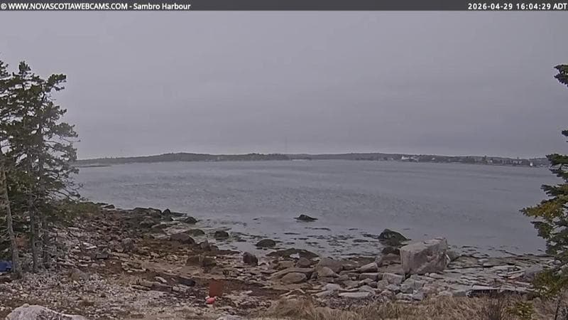 Sambro Harbour