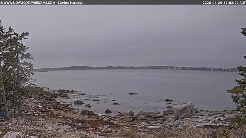Sambro Harbour