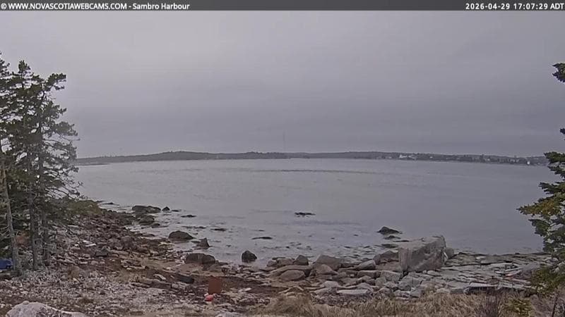 Sambro Harbour