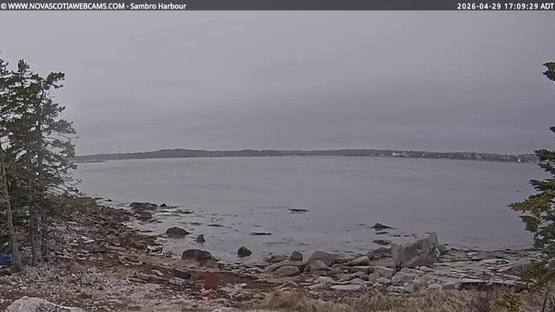 Sambro Harbour