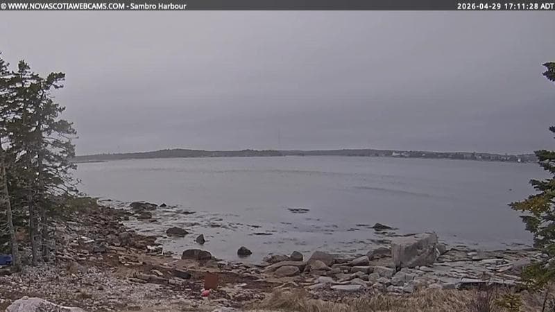 Sambro Harbour