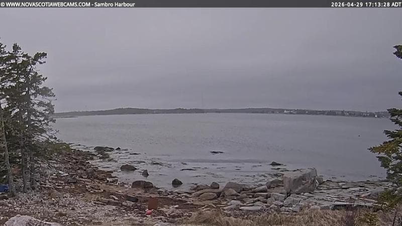 Sambro Harbour
