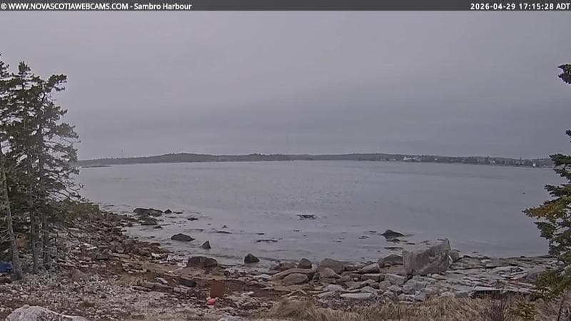 Sambro Harbour