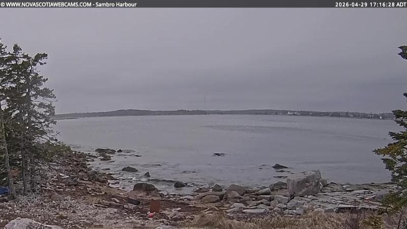 Sambro Harbour