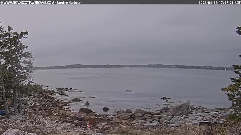 Sambro Harbour