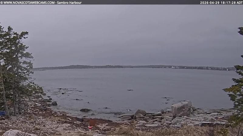 Sambro Harbour