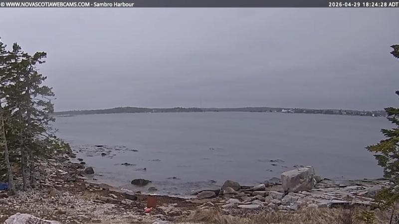 Sambro Harbour