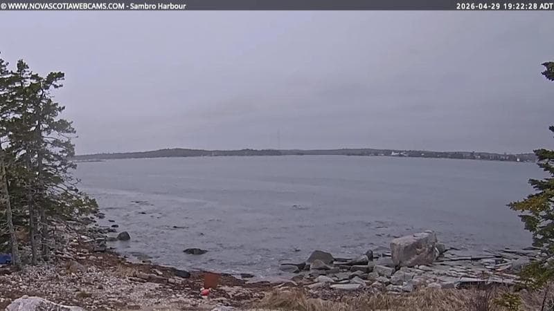 Sambro Harbour