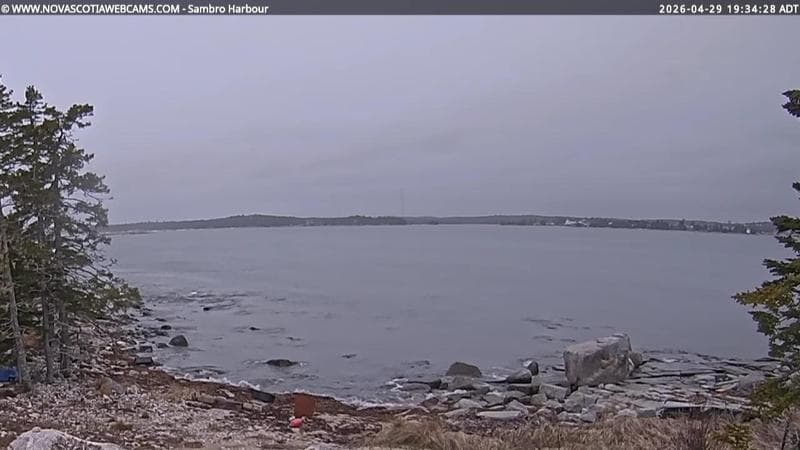 Sambro Harbour