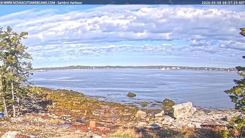 Sambro Harbour