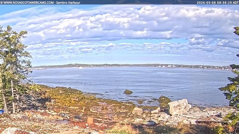 Sambro Harbour