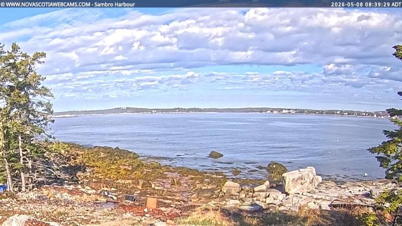 Sambro Harbour
