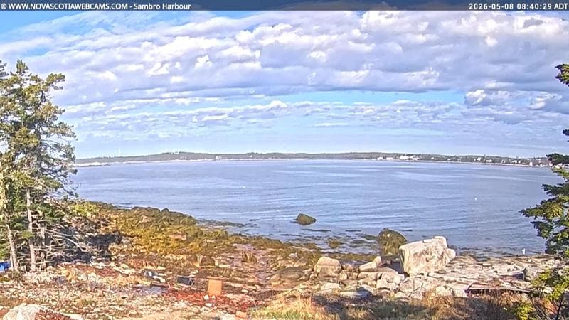 Sambro Harbour
