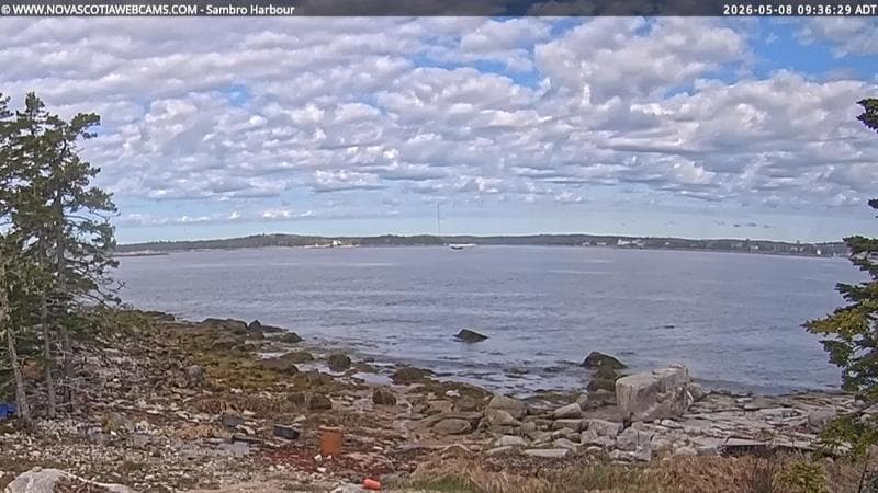 Sambro Harbour