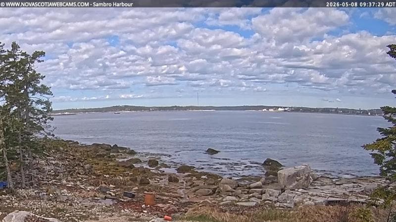 Sambro Harbour