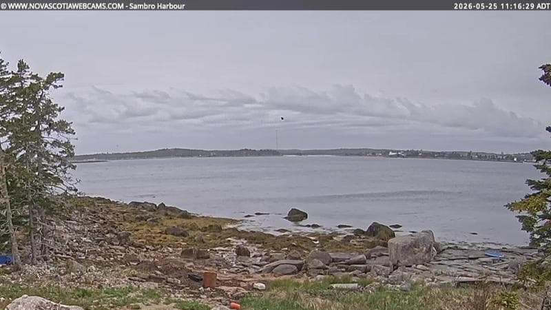 Sambro Harbour