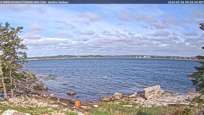 Sambro Harbour