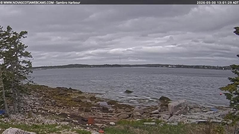 Sambro Harbour