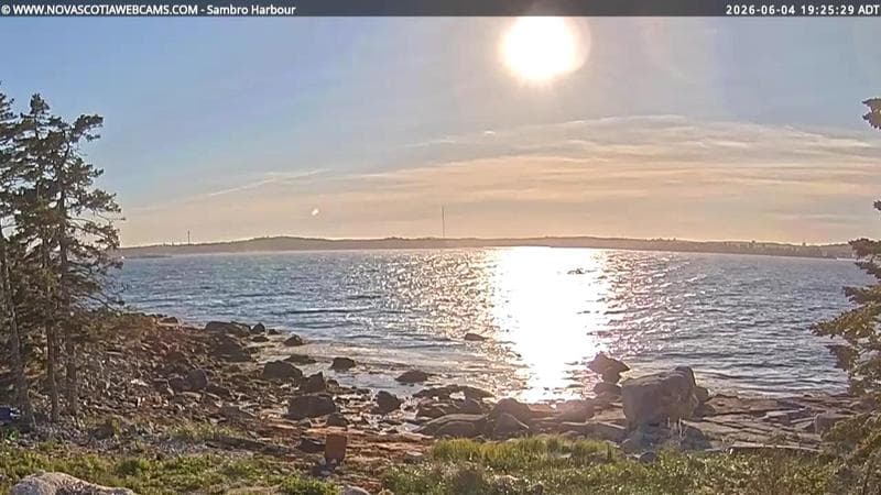 Sambro Harbour