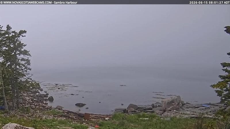Sambro Harbour