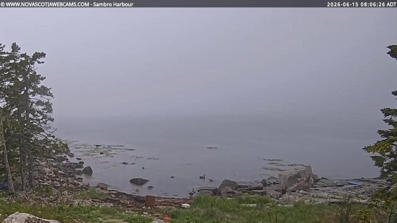 Sambro Harbour