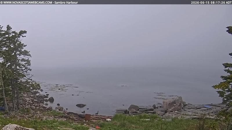 Sambro Harbour