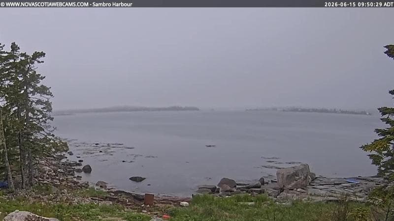 Sambro Harbour