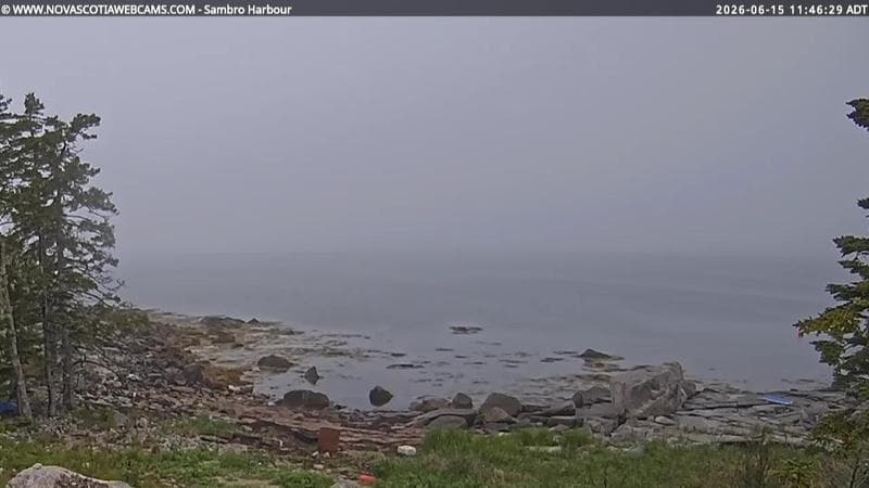Sambro Harbour