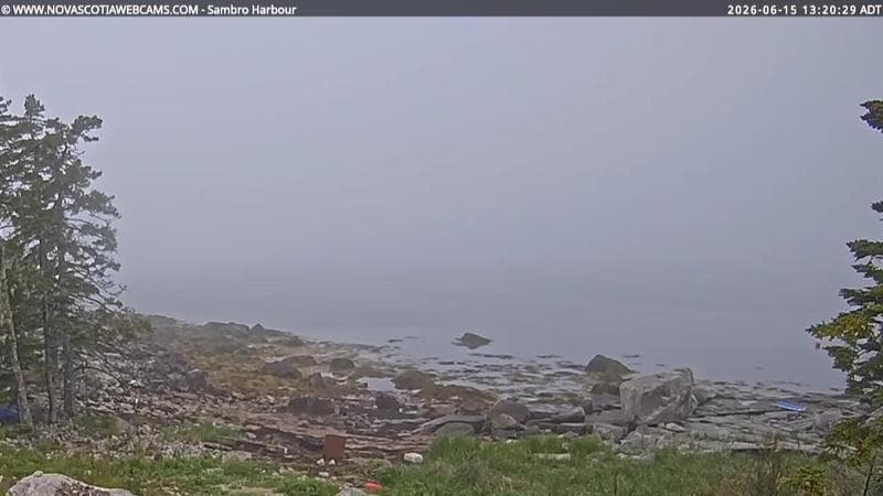 Sambro Harbour