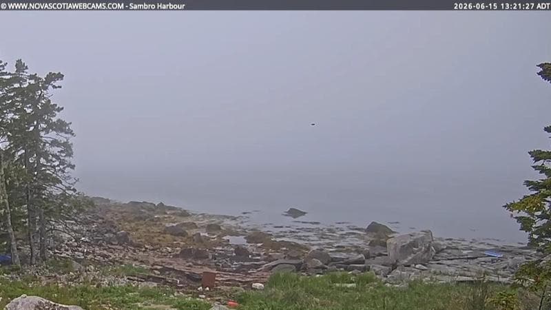 Sambro Harbour