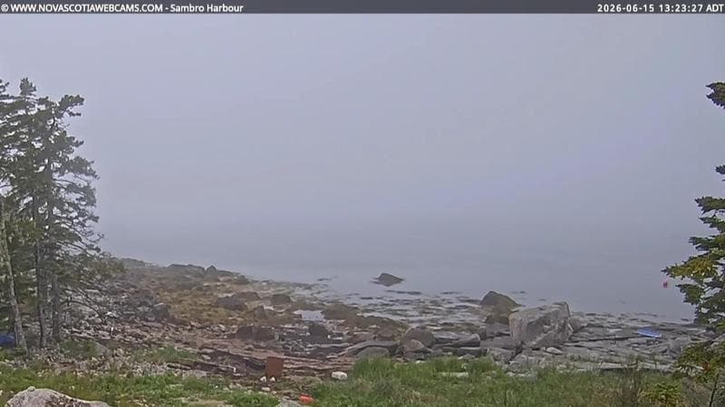 Sambro Harbour