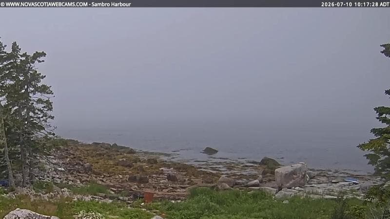 Sambro Harbour