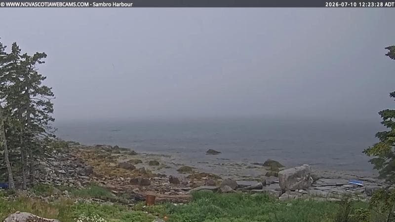 Sambro Harbour