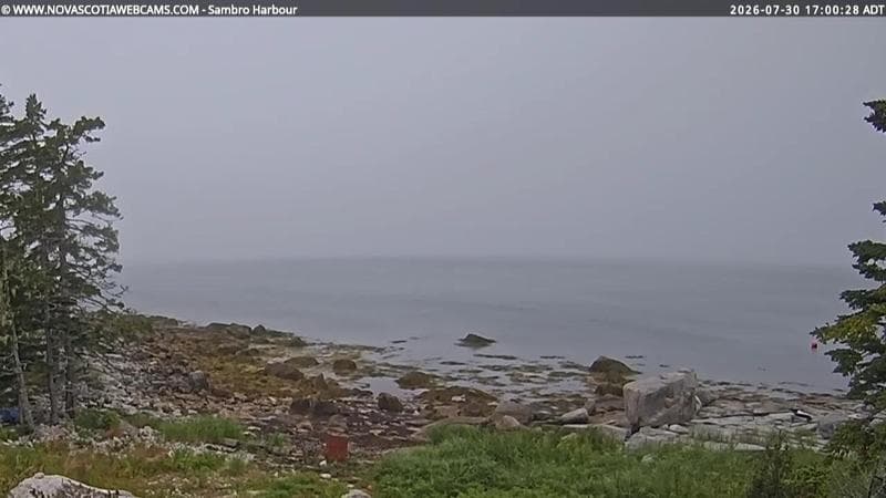 Sambro Harbour