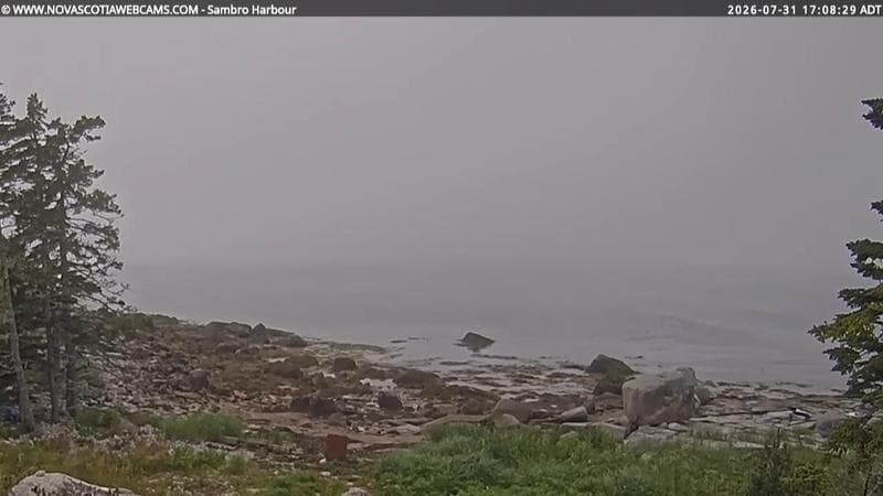 Sambro Harbour