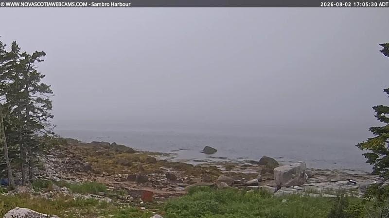 Sambro Harbour