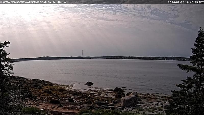 Sambro Harbour