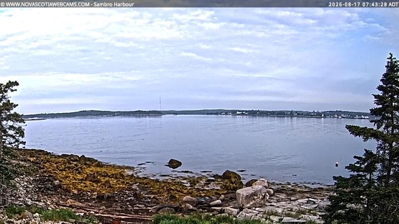Sambro Harbour