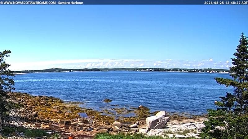 Sambro Harbour