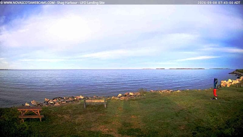 Shag Harbour
