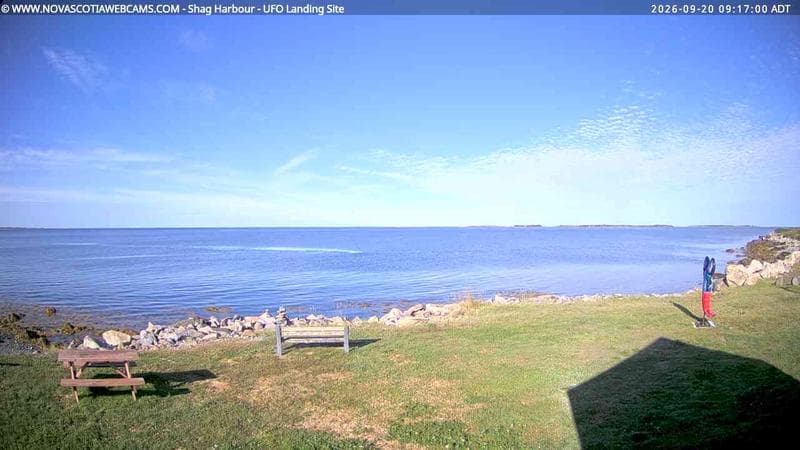 Shag Harbour