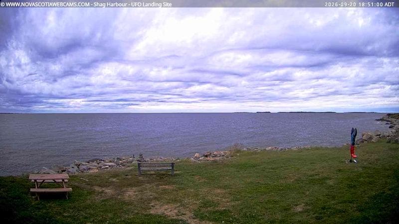 Shag Harbour