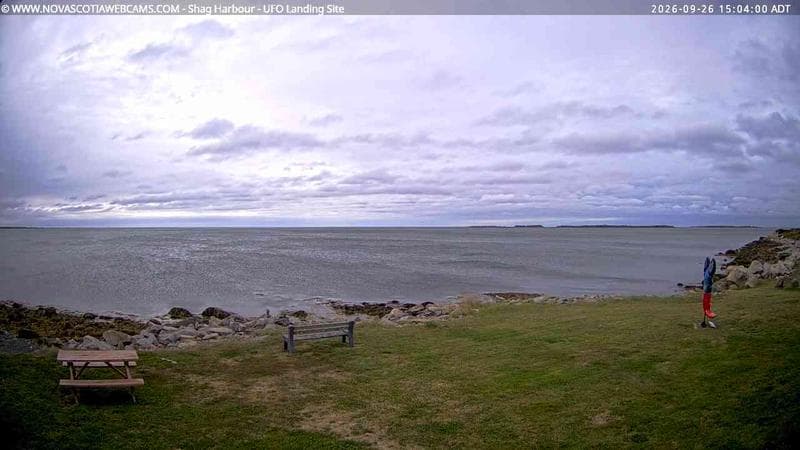 Shag Harbour