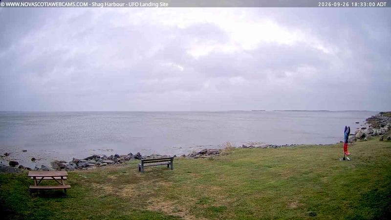 Shag Harbour