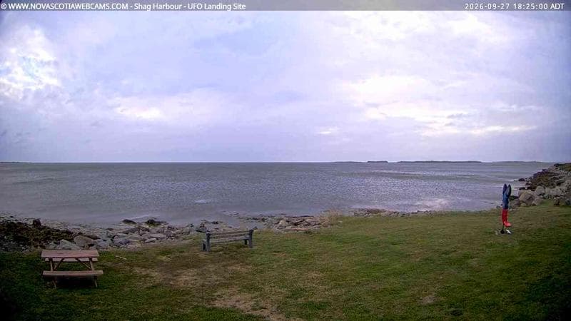 Shag Harbour