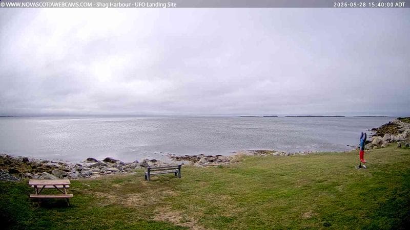 Shag Harbour