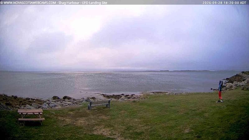 Shag Harbour
